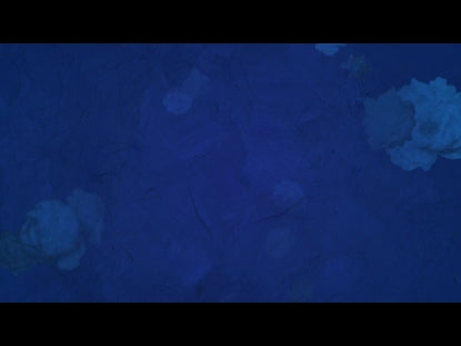 Who You Say I Am Loop 6