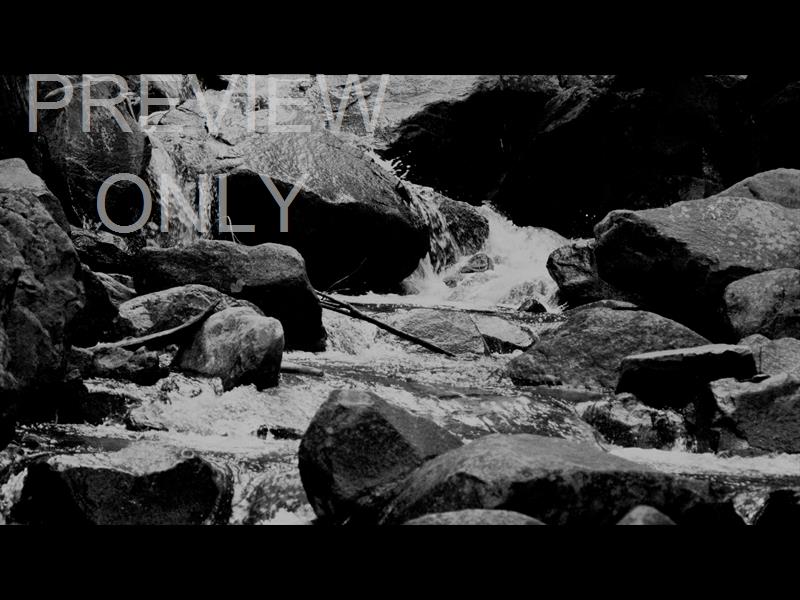 Black And White River 5 Still