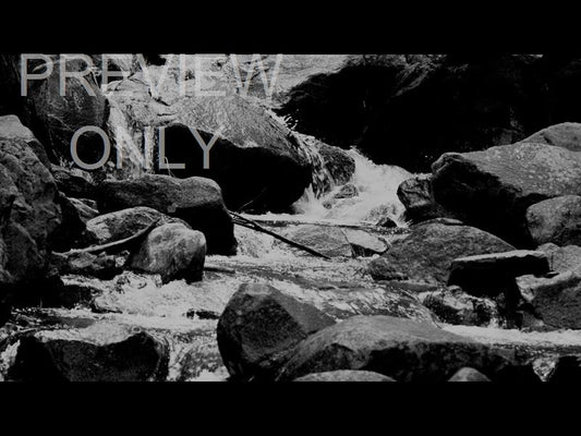 Black And White River 5 Still