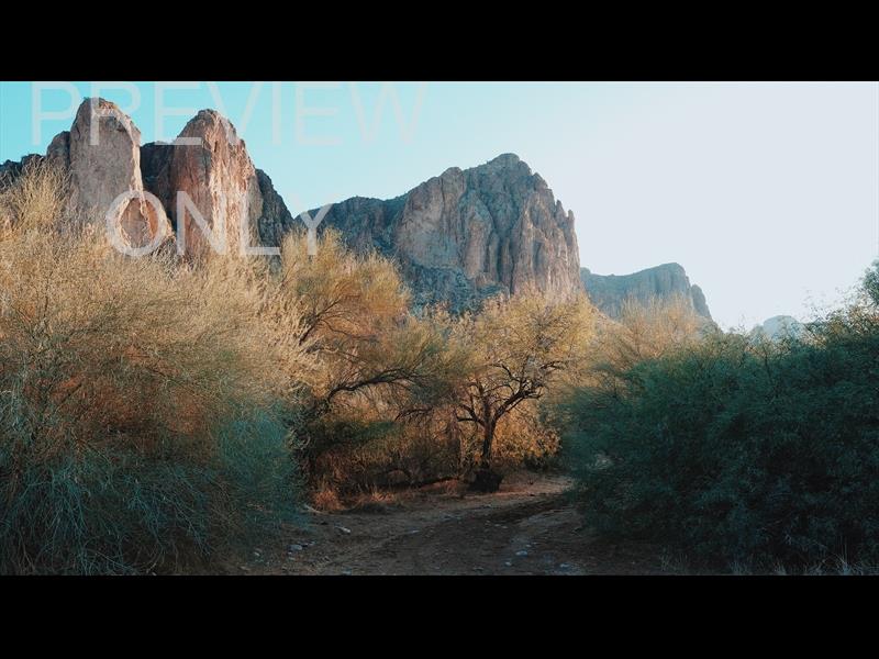 Desert Mountain Path