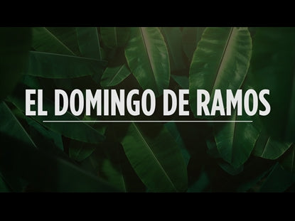 El Domingo De Ramos