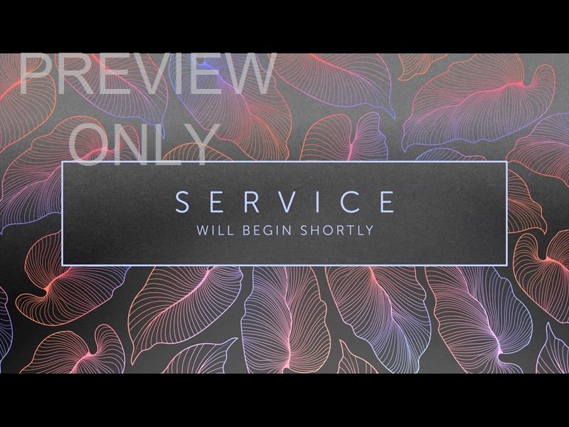 Tropical Night Service Still