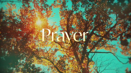 Autumn Canopies Prayer Still