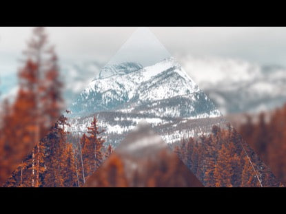 Frosted Winter 4