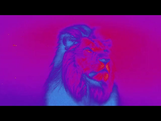 Bible Animals 2 Lion Color Map