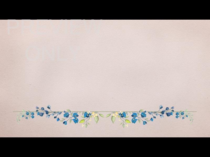 Petite Flower: Still 04