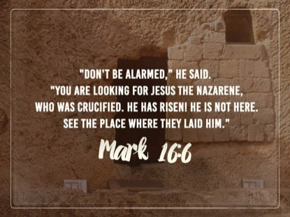 Three Days Later Scripture Motion