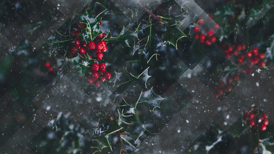 Winter Journey 01 Still
