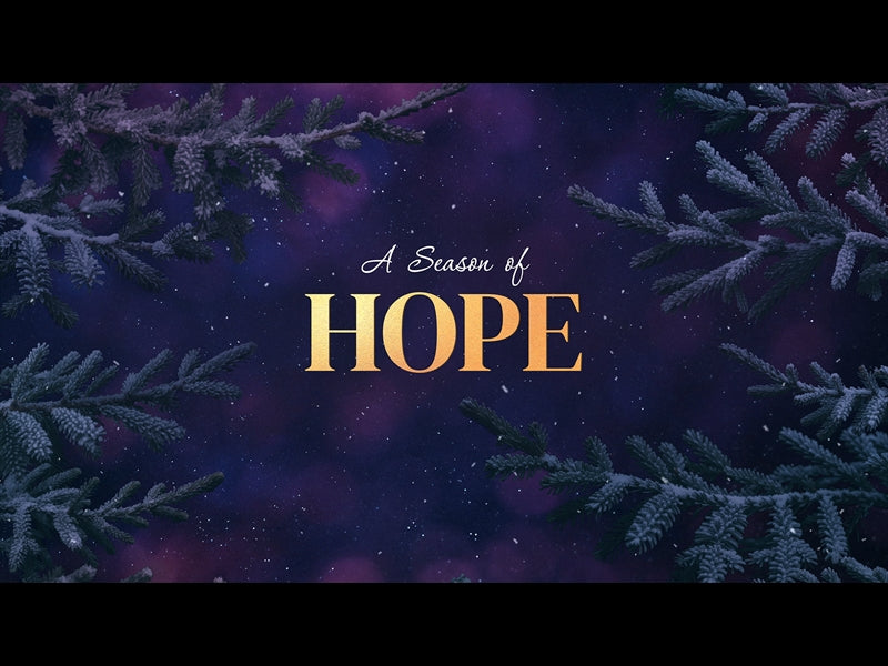 Christmas Wintertide Hope