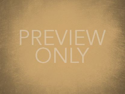 Event Planner Orange Still