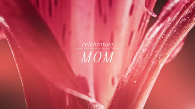 Flowers Of The Field Celebrating Mom