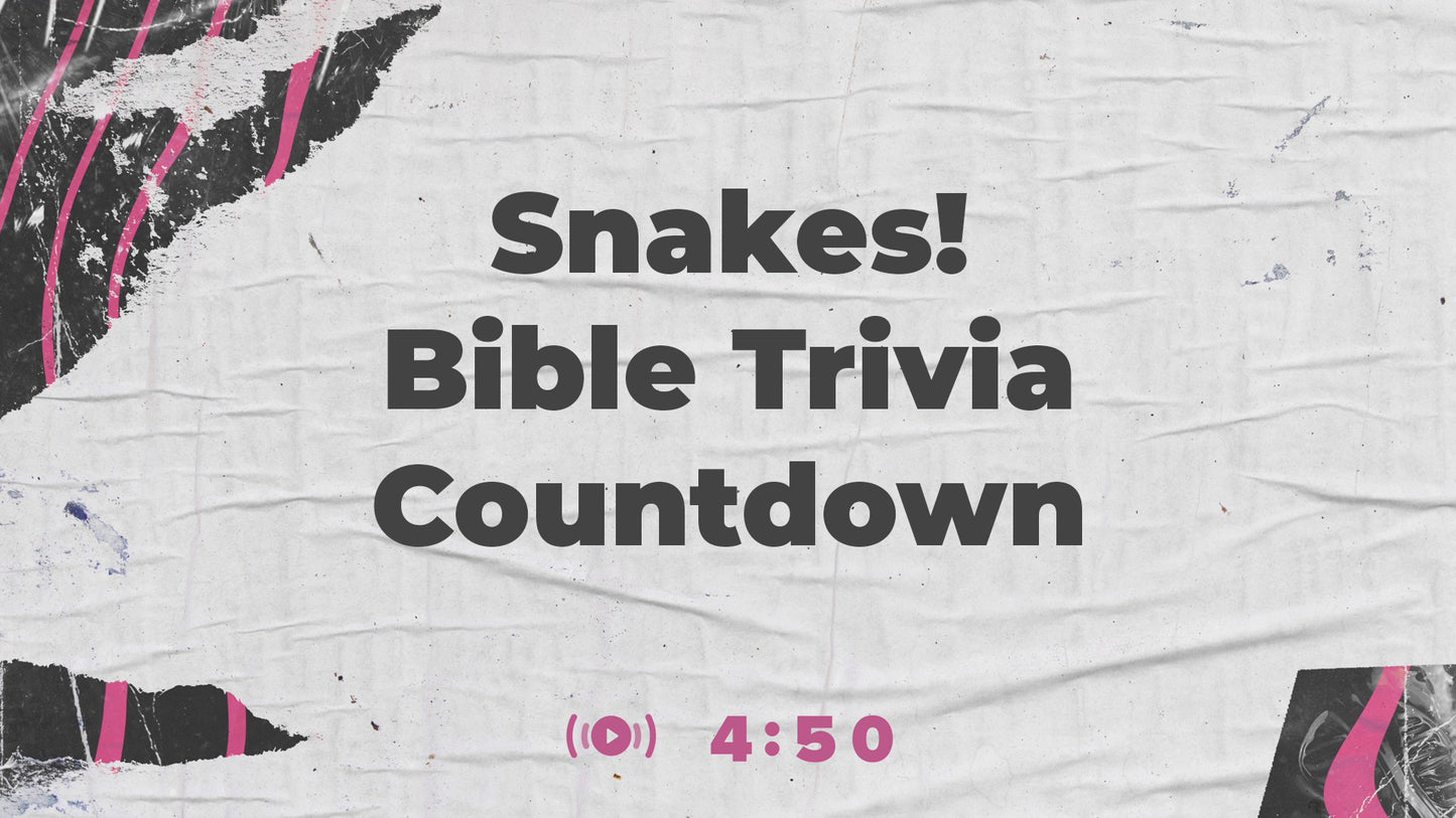 Steeples Trivia Countdown