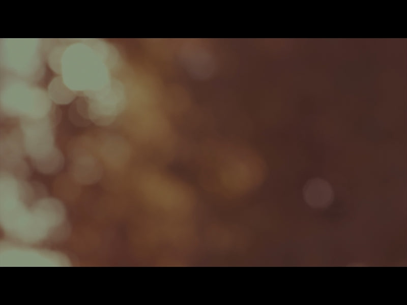 Beautyfall Loop 04
