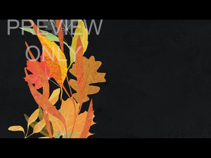 Autumn Wreath Still 03