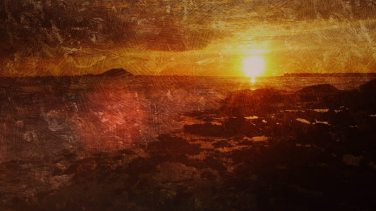 Natures Palette 2 Still