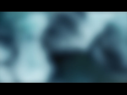 Colors Of Nature Motion 7