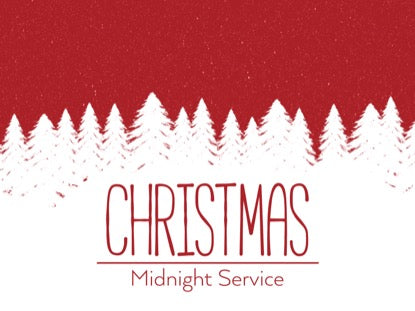 Winter Spruce Midnight Motion