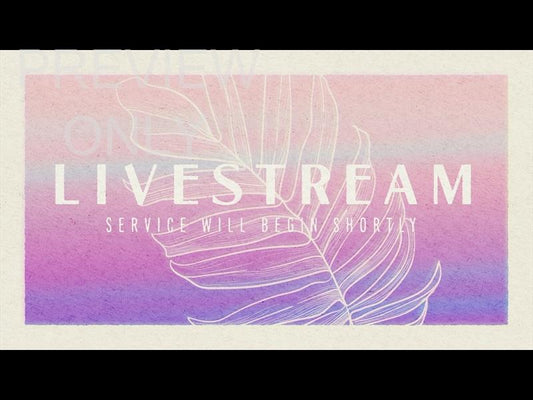 Paper Palm Livestream Still