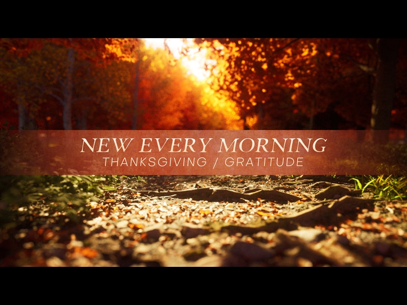 New Every Morning