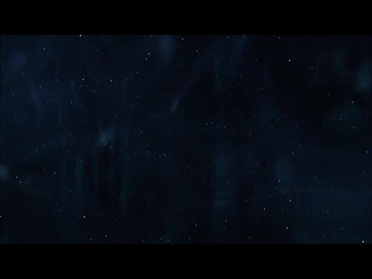 Christmas In The City 14