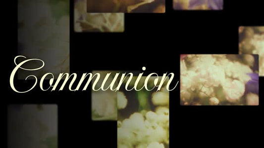 Bloom Again Communion