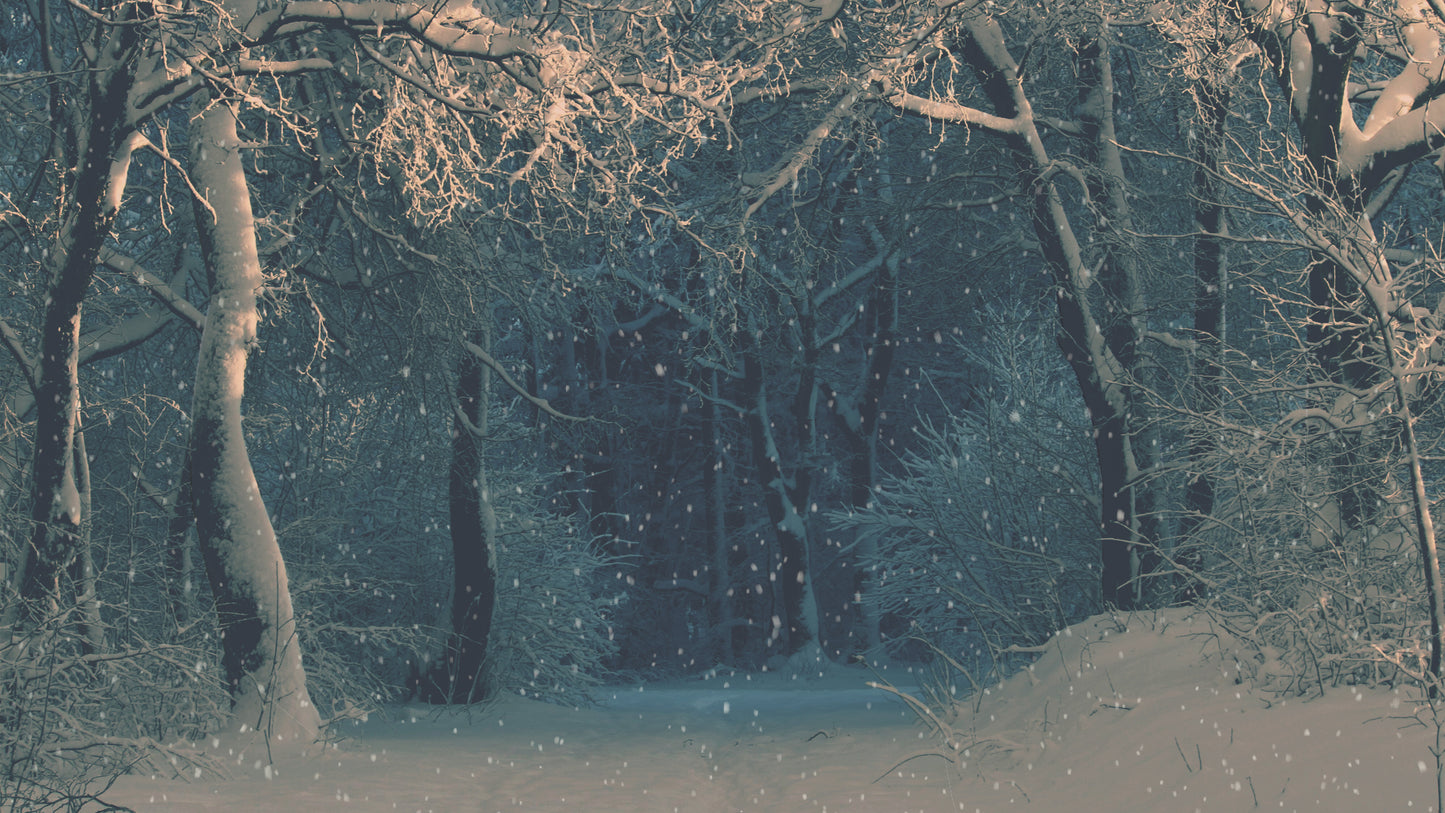 Christmas Ribbon Blue Snow