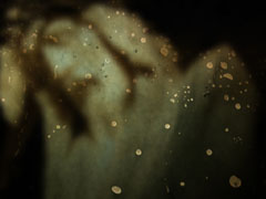 Face Texture 2