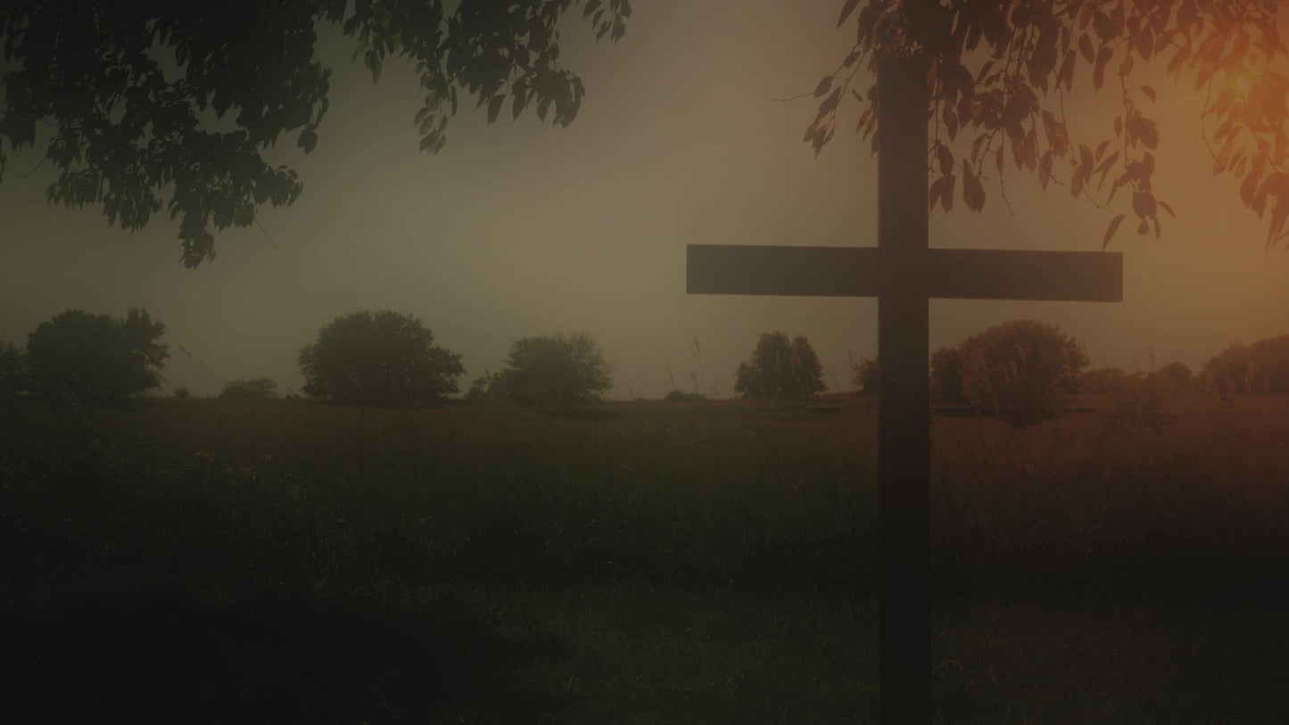 Cross 3 Alt Still