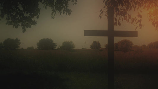 Cross 3 Alt Still