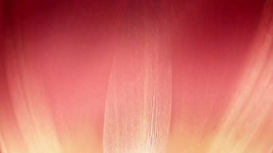 Flowers Of The Field Loops 04