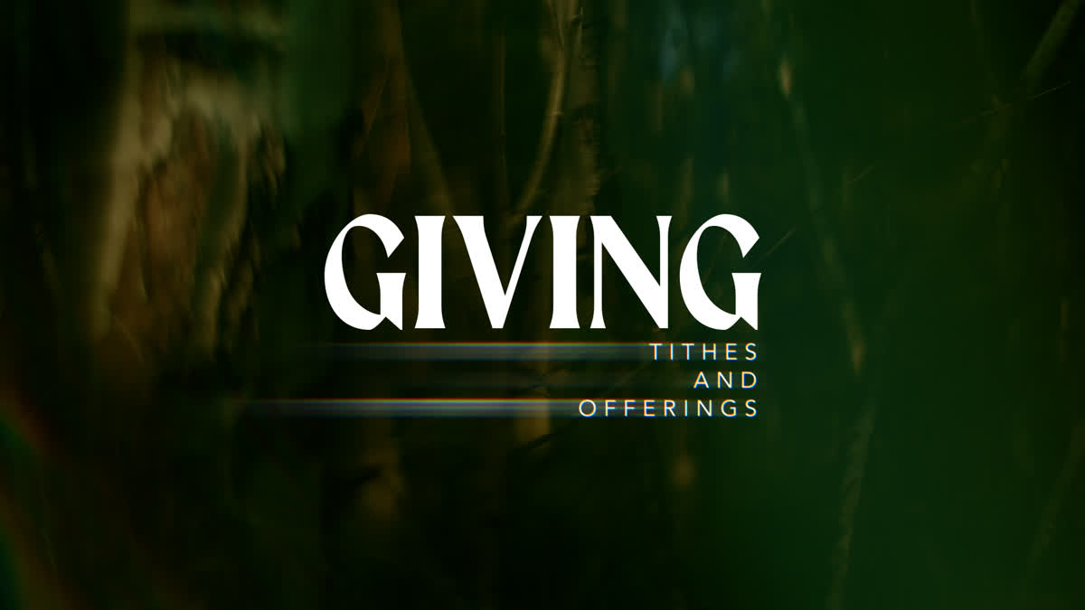 Like A Tree Still Giving
