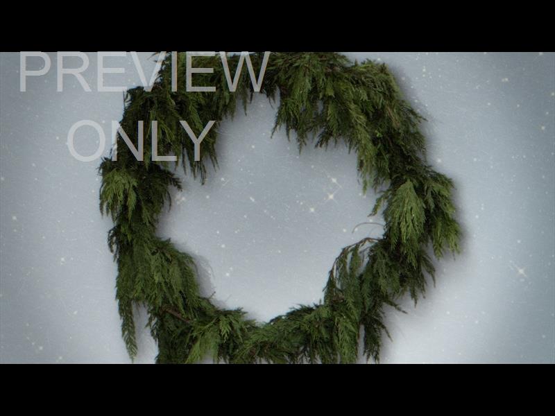 Garland Still 08