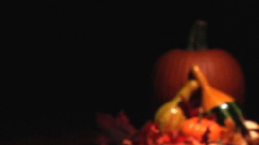 Pumpkins And Gourds
