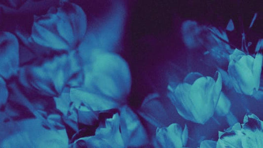 Hyper Bloom 7
