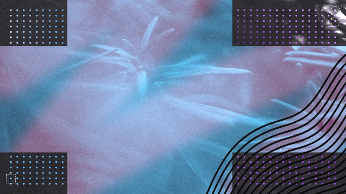 Wonder Background 05