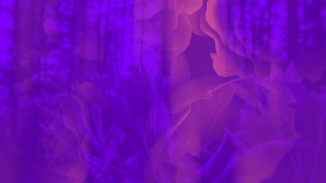 Floral Reflections 01