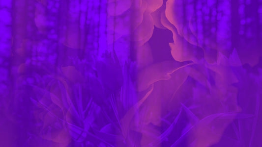 Floral Reflections 01