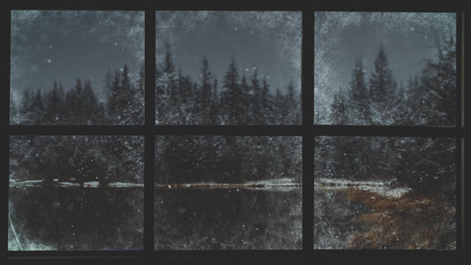 Christmas Windows 5 Still