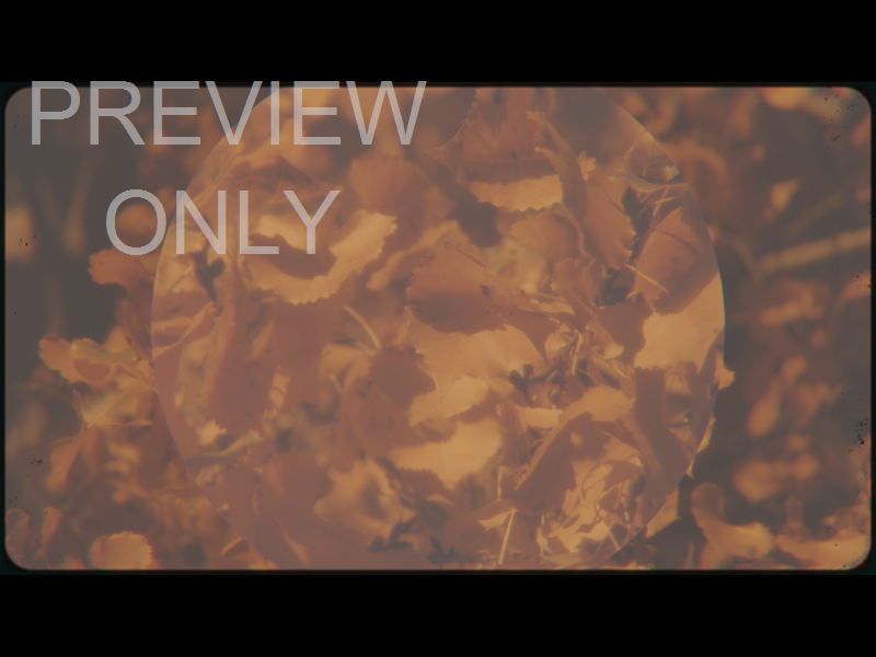 Vintage Fall Still 05