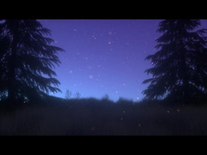 Summer Fireflies Blue Pines