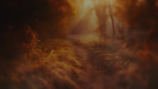 Autumn Path 4 Darken Still