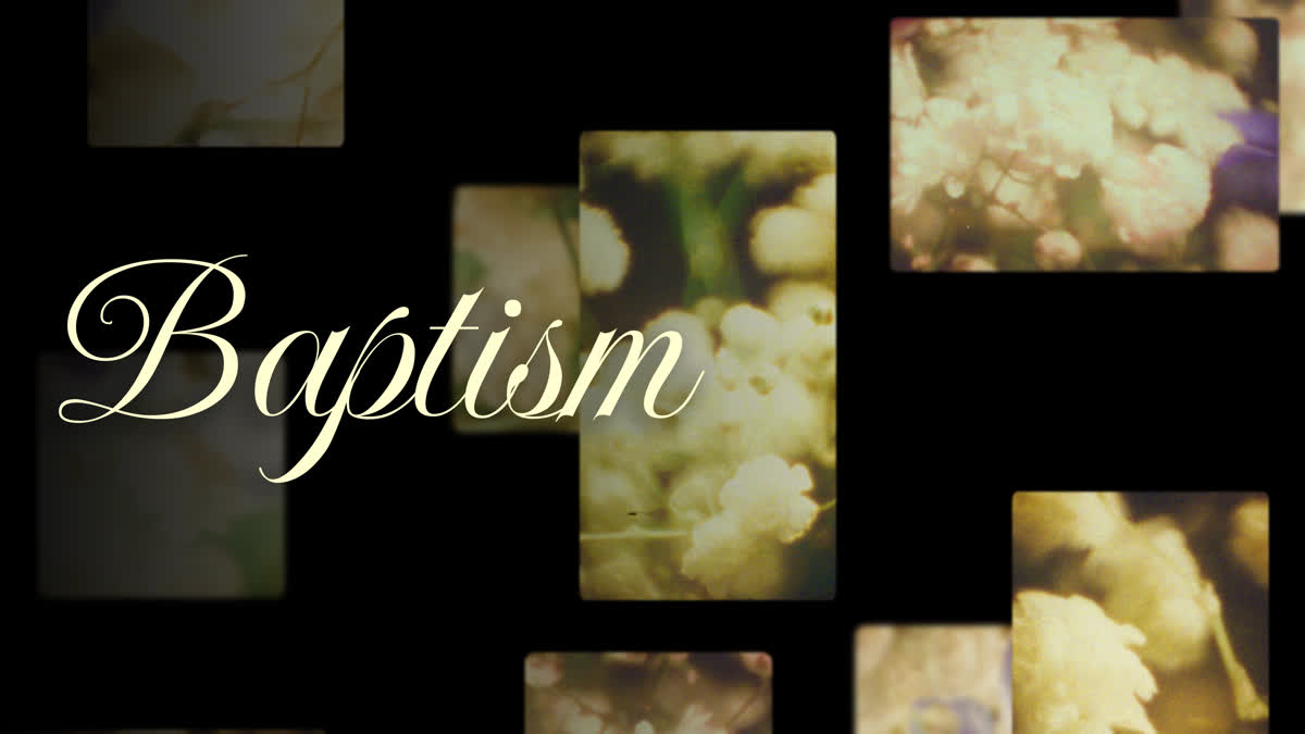 Bloom Again Baptism