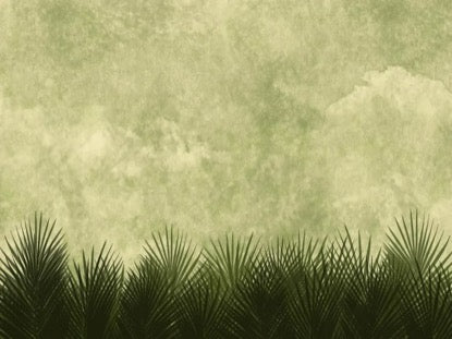 Palm Sunday Dark 2