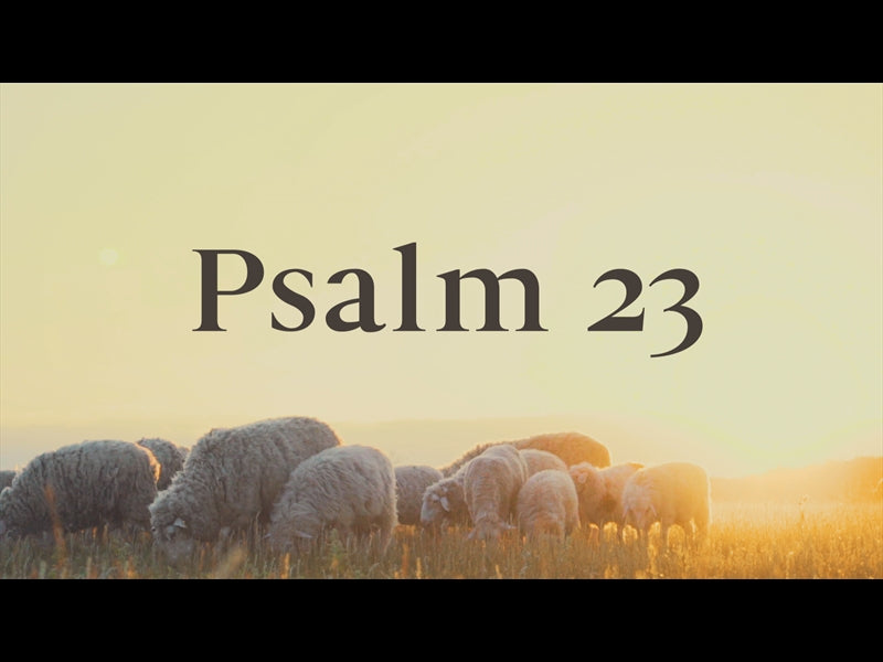 Psalm 23