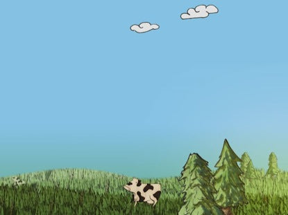 A Thousand Hills Loop