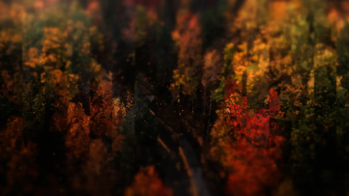 Autumns End 1