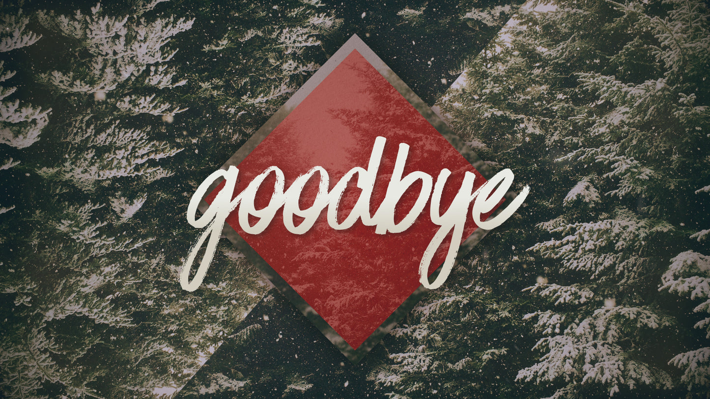 Christmas Forest Closing Still