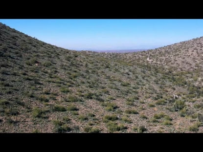 Scottsdale Overlook