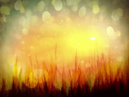Harvest Glow
