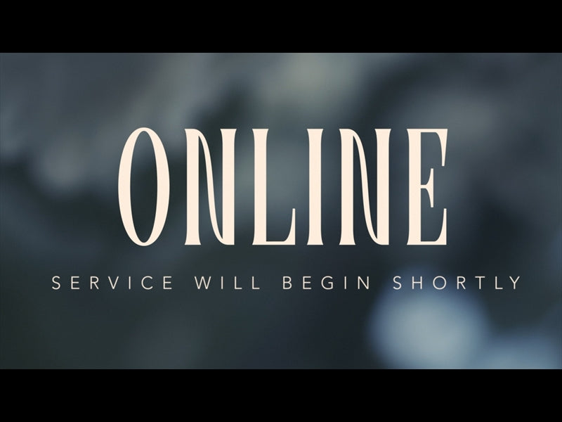 Gardenista Online